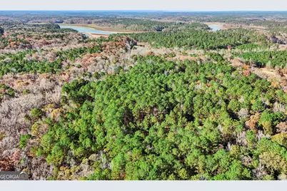 11.62+/- Ac New Franklin Road, Hogansville, GA 30230 - Photo 27