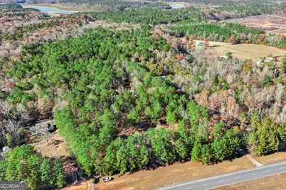 11.62+/- Ac New Franklin Road, Hogansville, GA 30230 - Photo 29