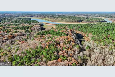 11.62+/- Ac New Franklin Road, Hogansville, GA 30230 - Photo 23