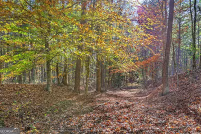 11.62+/- Ac New Franklin Road, Hogansville, GA 30230 - Photo 7