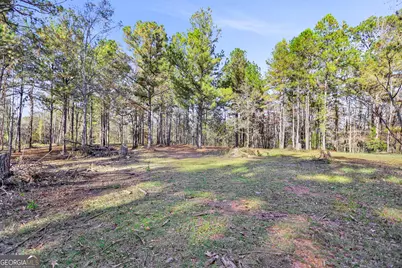 11.62+/- Ac New Franklin Road, Hogansville, GA 30230 - Photo 9