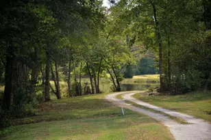 301 Spruill Bridge Rd, Temple, GA 30179 - Photo 71