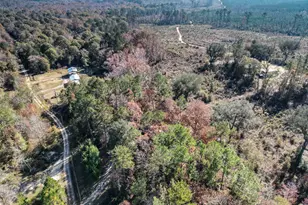 2286 Carter Bight Landing Rd, Surrency, GA 31563 - Photo 31