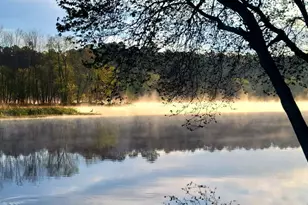 532 Henry Higgins Rd, Jackson, GA 30233 - Photo 31