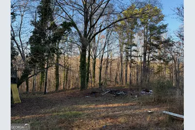 710 Armstrong Mill Road, Franklin, GA 30217 - Photo 19