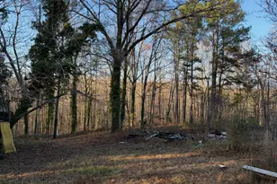 710 Armstrong Mill Rd, Franklin, GA 30217 - Photo 19