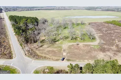 3 N. County Line Road, Elko, GA 31025 - Photo 3