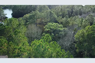 187 Demeries Lake Lane, Richmond Hill, GA 31324 - Photo 3