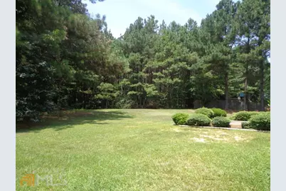 45 Chemin Place, Sharpsburg, GA 30277 - Photo 43