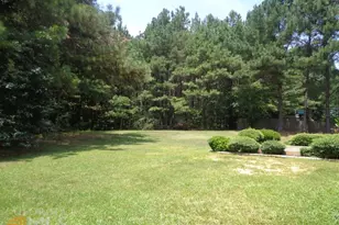 45 Chemin Pl, Sharpsburg, GA 30277 - Photo 43