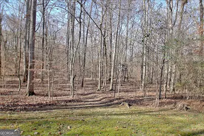 255 Loneoak Drive, Senoia, GA 30276 - Photo 61