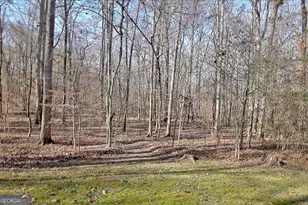 255 Lone Oak Dr, Senoia, GA 30276 - Photo 61