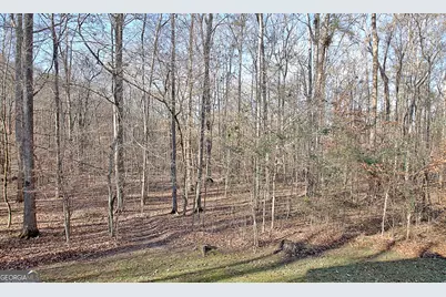 255 Loneoak Drive, Senoia, GA 30276 - Photo 15