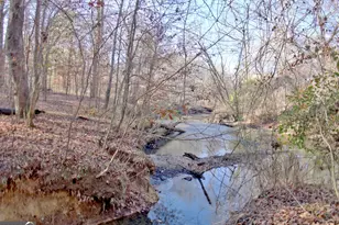 255 Lone Oak Dr, Senoia, GA 30276 - Photo 63