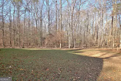 255 Loneoak Drive, Senoia, GA 30276 - Photo 55