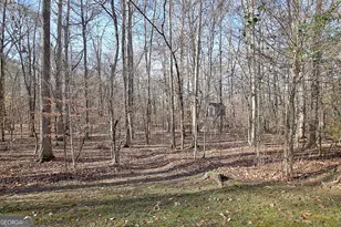 255 Lone Oak Dr, Senoia, GA 30276 - Photo 57