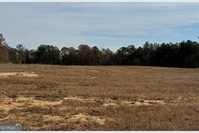 0 Old Middleton Road, Elberton, GA 30635 - Photo 13
