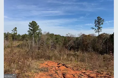 0 Old Middleton Road, Elberton, GA 30635 - Photo 23
