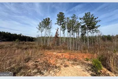 0 Old Middleton Road, Elberton, GA 30635 - Photo 25