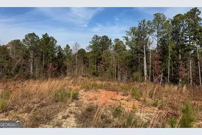 0 Old Middleton Road, Elberton, GA 30635 - Photo 15
