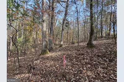 0 Old Middleton Road, Elberton, GA 30635 - Photo 41