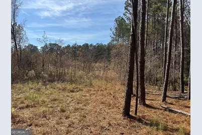 0 Old Middleton Road, Elberton, GA 30635 - Photo 33