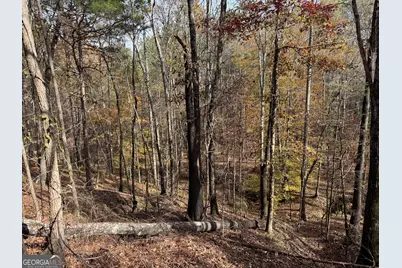 0 Old Middleton Road, Elberton, GA 30635 - Photo 39