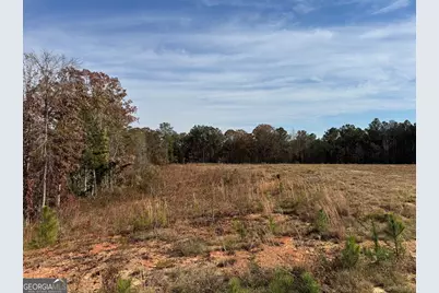 0 Old Middleton Road, Elberton, GA 30635 - Photo 17