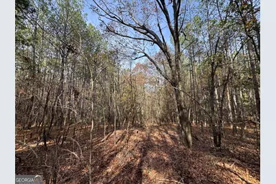 0 Old Middleton Road, Elberton, GA 30635 - Photo 35