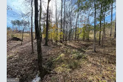 0 Old Middleton Road, Elberton, GA 30635 - Photo 7