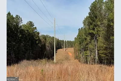 0 Old Middleton Road, Elberton, GA 30635 - Photo 31