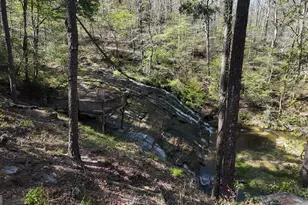 500 Cross Creek Trail, Demorest, GA 30535 - Photo 7
