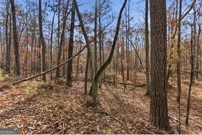 0 Flowery Branch Road, Kingston, GA 30145 - Photo 7