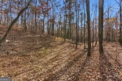 0 Flowery Branch Road, Kingston, GA 30145 - Photo 5