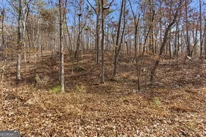 0 Flowery Branch Road, Kingston, GA 30145 - Photo 11