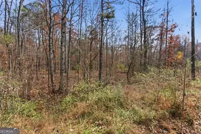 0 Flowery Branch Road, Kingston, GA 30145 - Photo 13