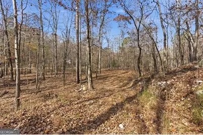 0 Flowery Branch Road, Kingston, GA 30145 - Photo 9