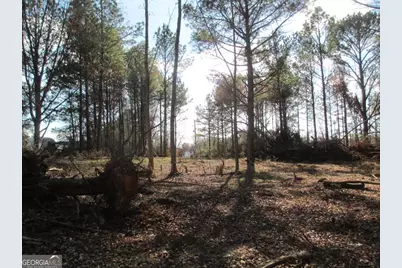 760 Carlton Johnson Road, Waco, GA 30182 - Photo 9