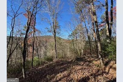 0 John Call Road, Ellijay, GA 30536 - Photo 55