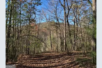 0 John Call Road, Ellijay, GA 30536 - Photo 51