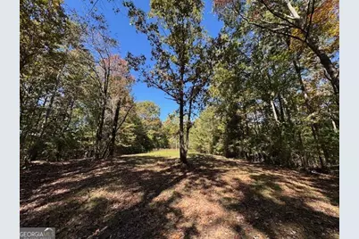 0 John Call Road, Ellijay, GA 30536 - Photo 31