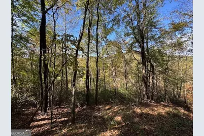 0 John Call Road, Ellijay, GA 30536 - Photo 21