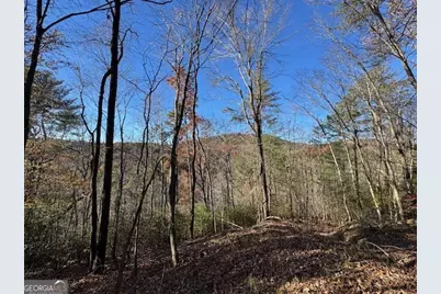 0 John Call Road, Ellijay, GA 30536 - Photo 53