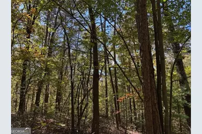 0 John Call Road, Ellijay, GA 30536 - Photo 25