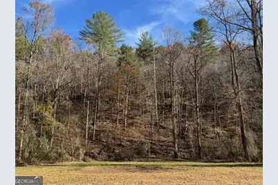 0 John Call Road, Ellijay, GA 30536 - Photo 39
