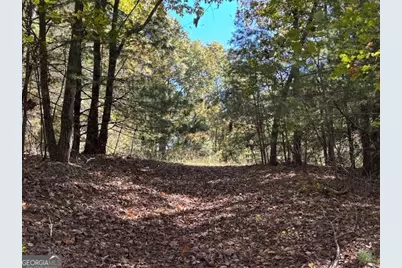 0 John Call Road, Ellijay, GA 30536 - Photo 33
