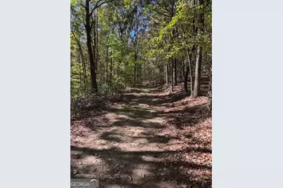 0 John Call Road, Ellijay, GA 30536 - Photo 29