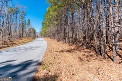 0 Snote Jones Road, Dallas, GA 30132 - Photo 13