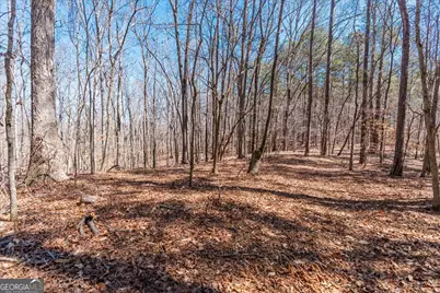 0 Snote Jones Road, Dallas, GA 30132 - Photo 15