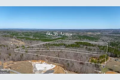 0 Snote Jones Road, Dallas, GA 30132 - Photo 1